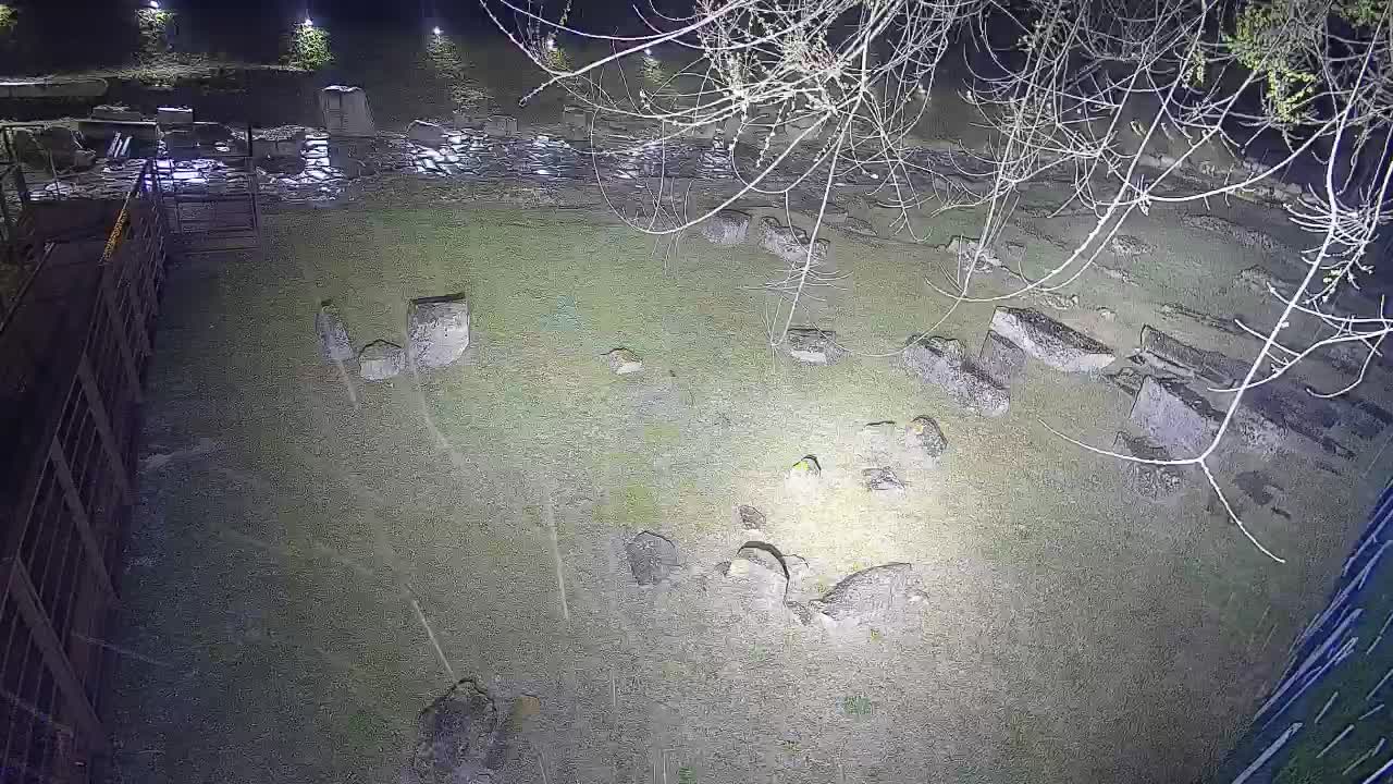 Aquileia – Decumano di Aratria Galla