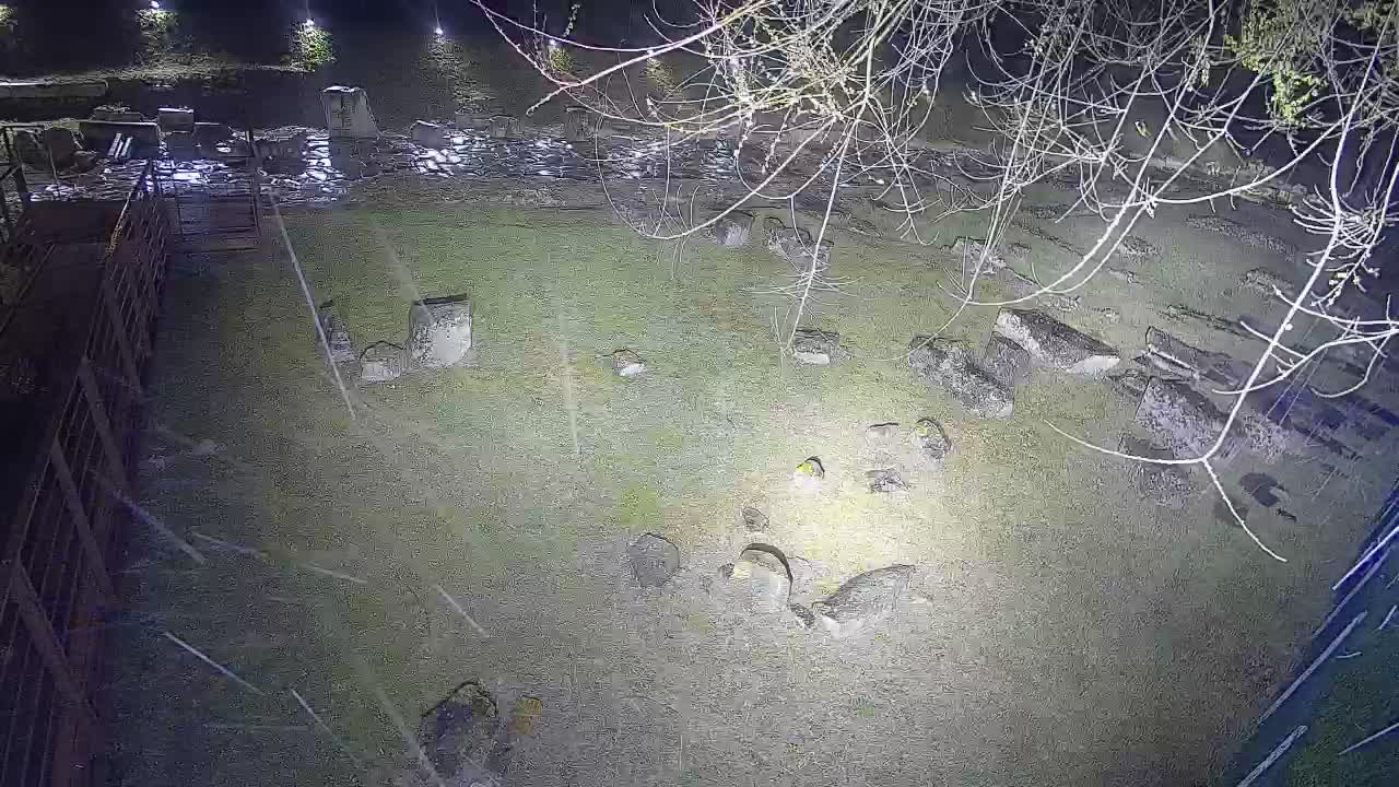 Aquileia – Decumano di Aratria Galla