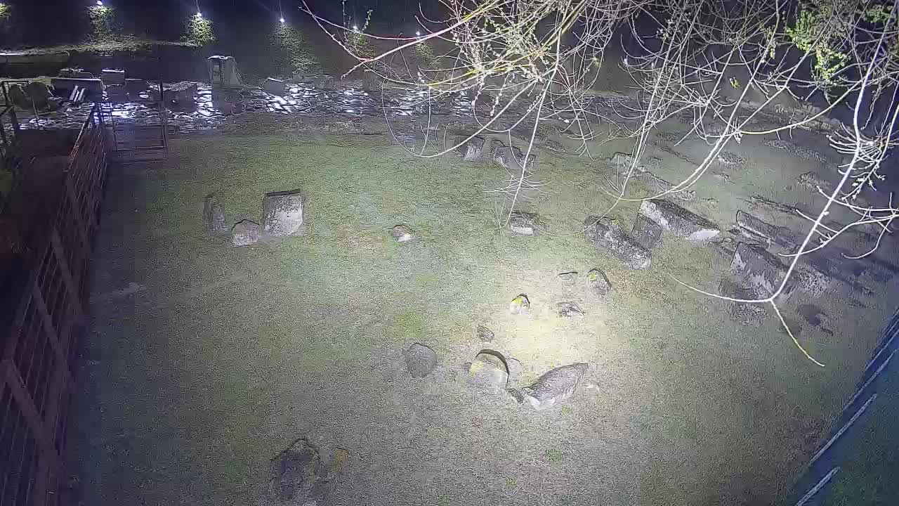 Akvileja – Decumano di Aratria Galla