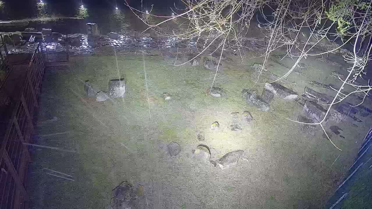 Aquileia – Decumano di Aratria Galla