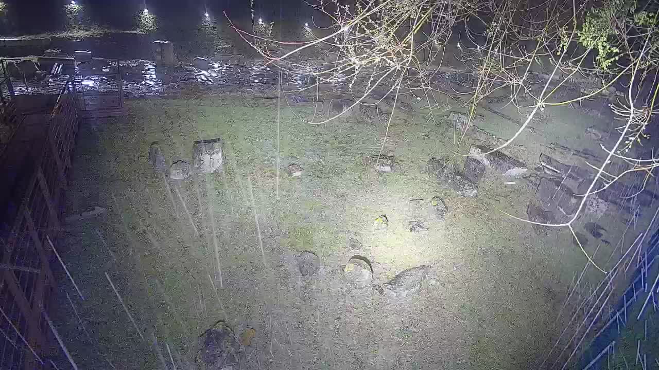 Aquileia – Decumano di Aratria Galla