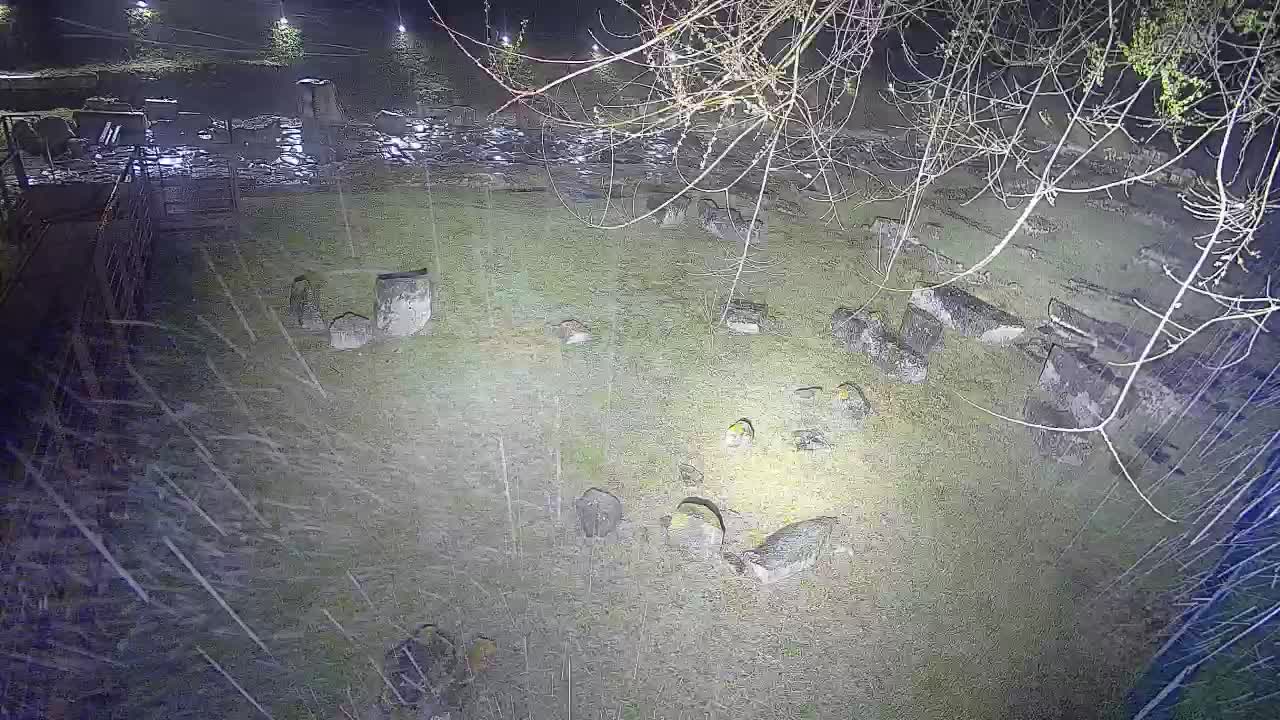 Akvileja – Decumano di Aratria Galla