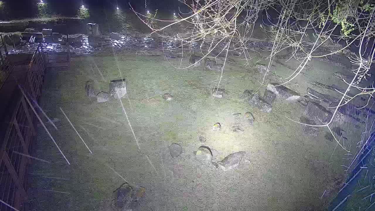 Aquileia – Decumano di Aratria Galla