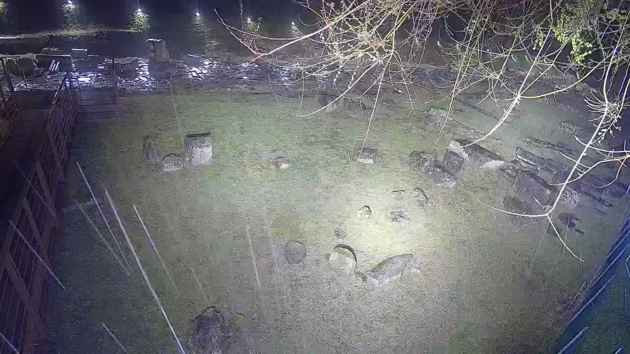 Aquileia – Decumano di Aratria Galla