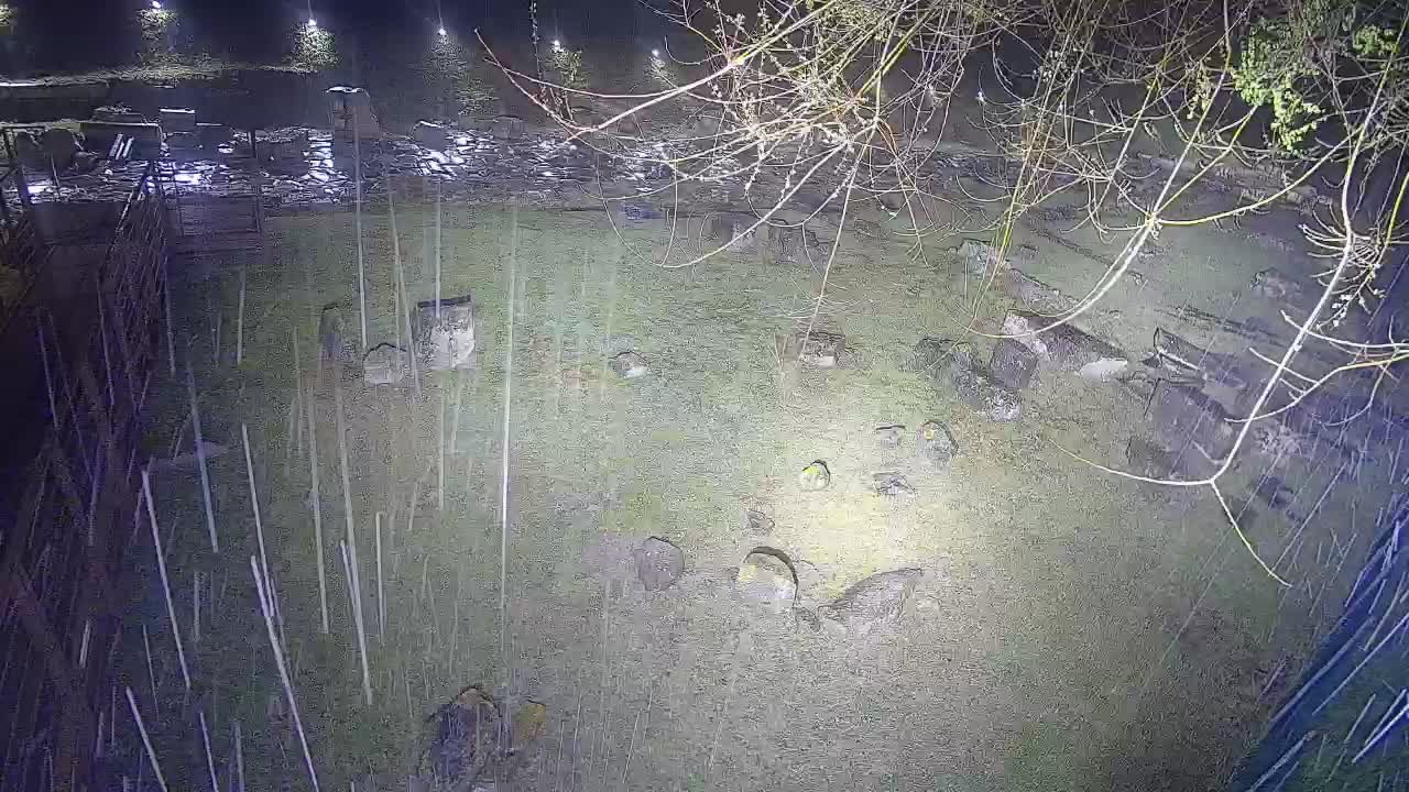 Aquileia – Decumano di Aratria Galla