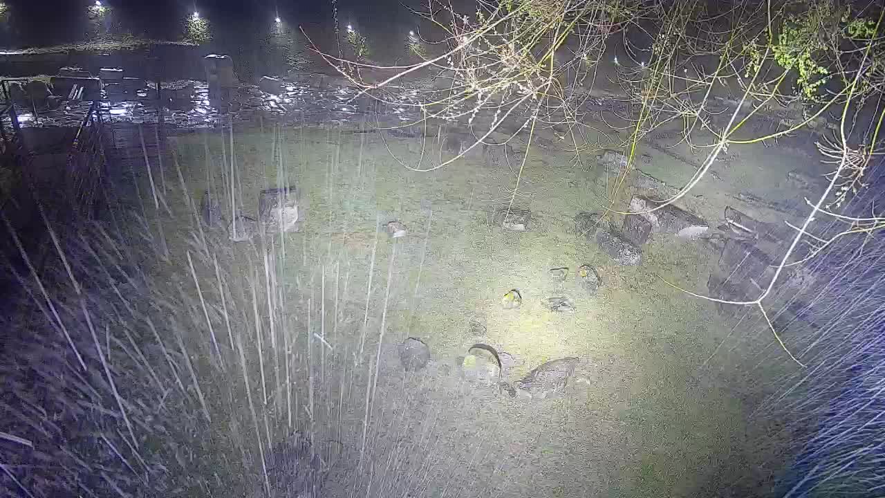 Aquileia – Decumano di Aratria Galla