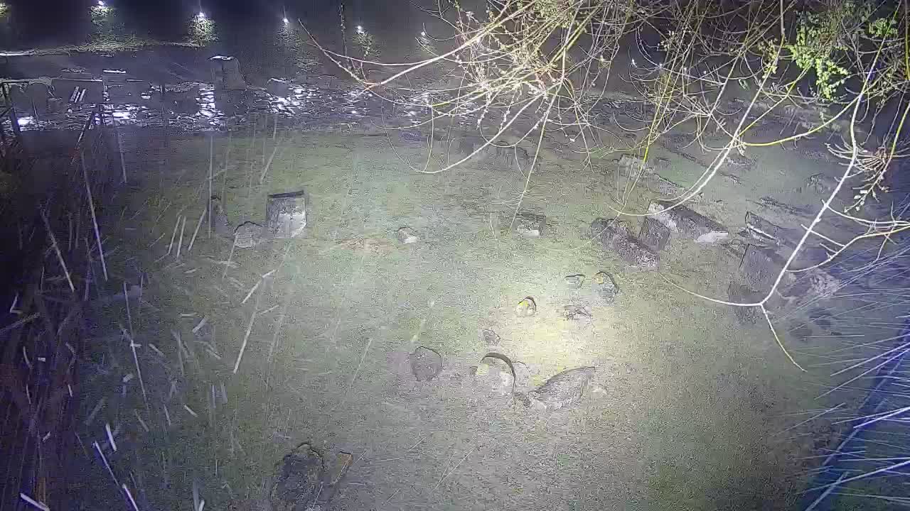 Aquileia – Decumano di Aratria Galla