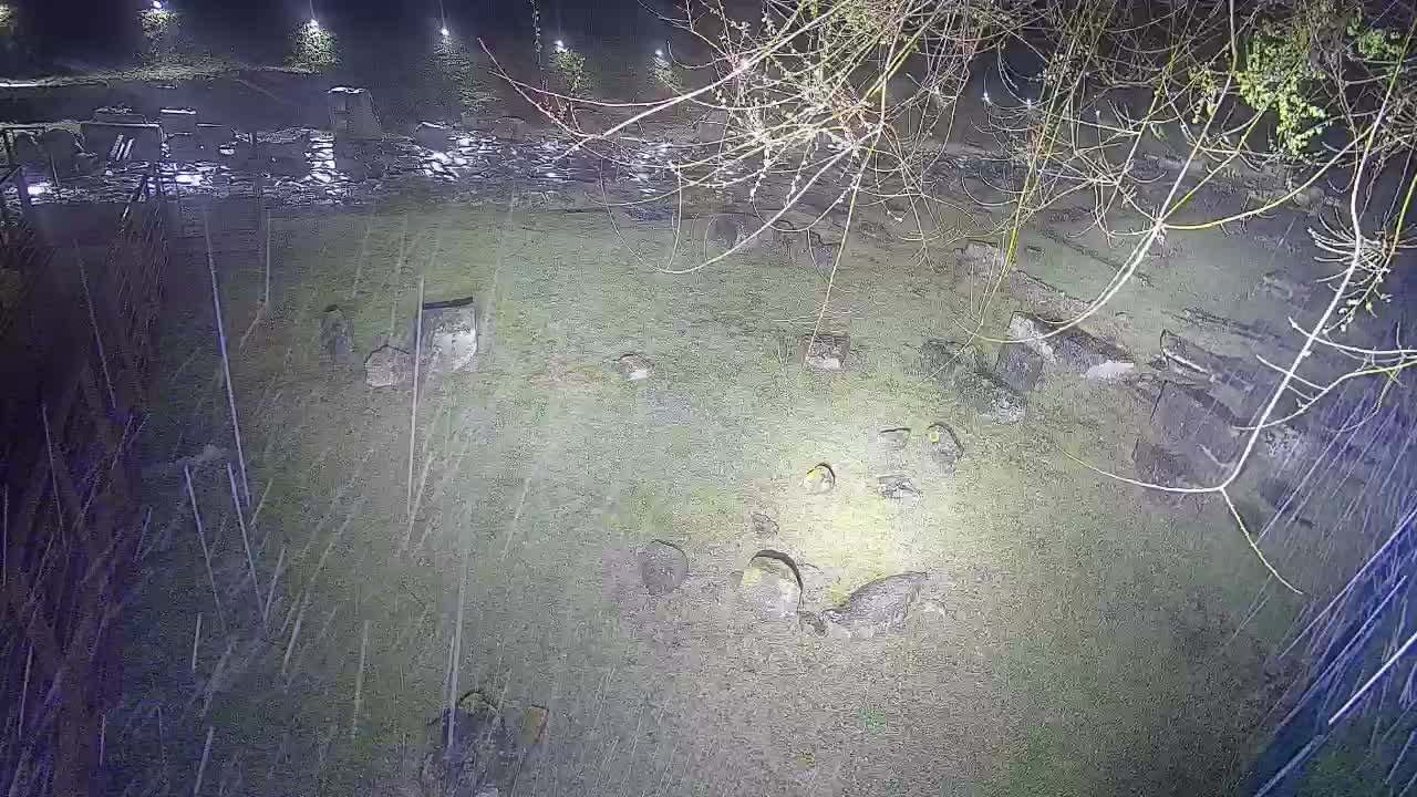 Aquileia – Decumano di Aratria Galla