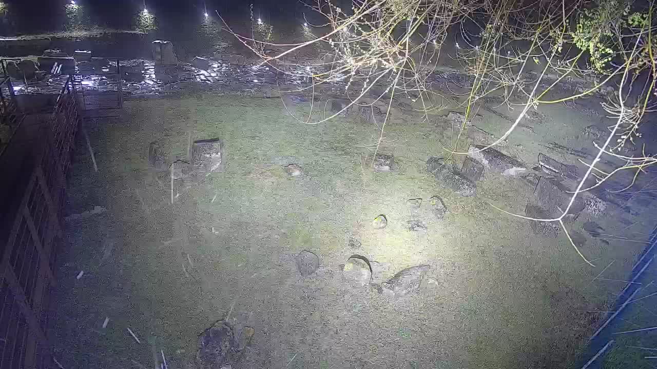 Aquileia – Decumano di Aratria Galla