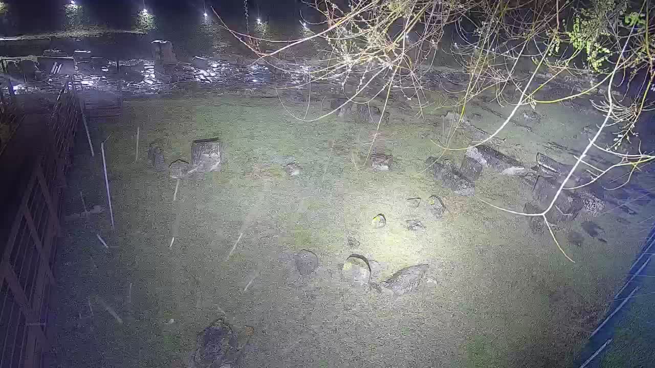 Aquileia – Decumano di Aratria Galla