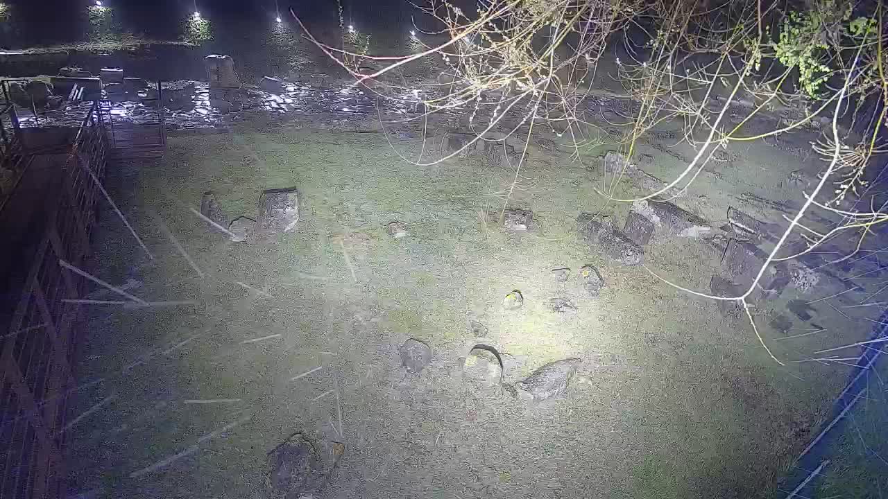 Aquileia – Decumano di Aratria Galla