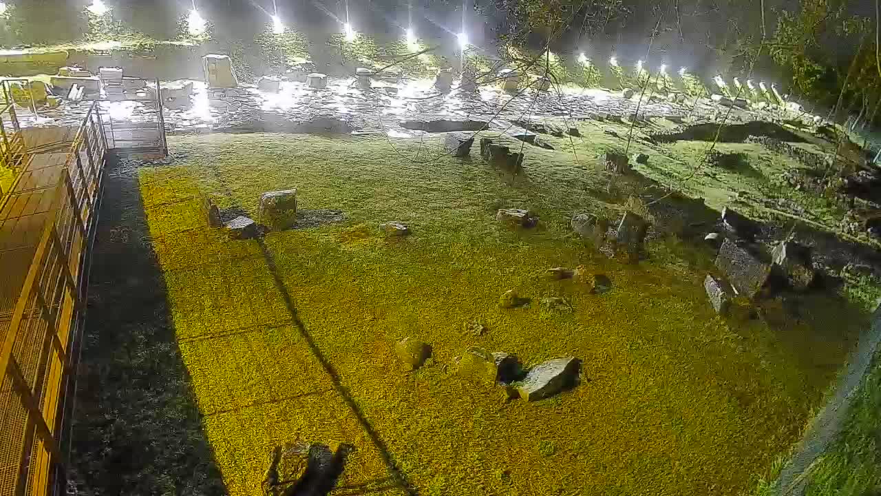 Aquileia – Decumano di Aratria Galla