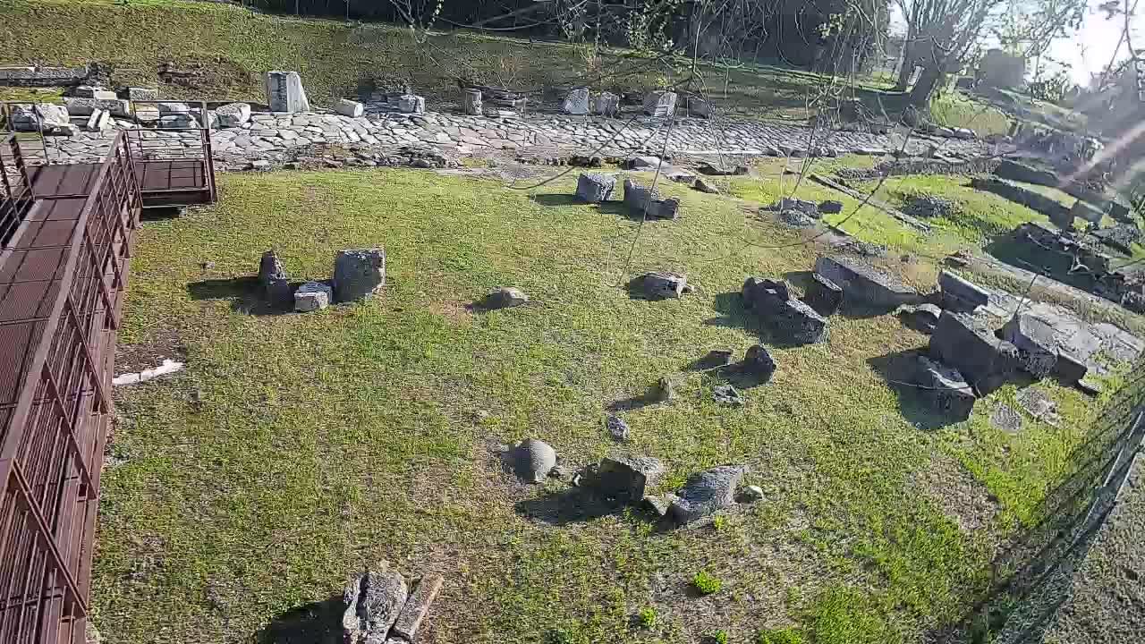 Aquileia – Decumano di Aratria Galla