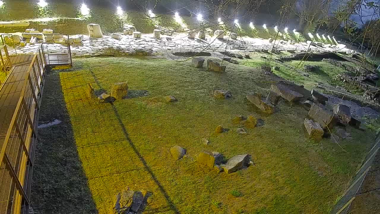 Aquileia – Decumano di Aratria Galla