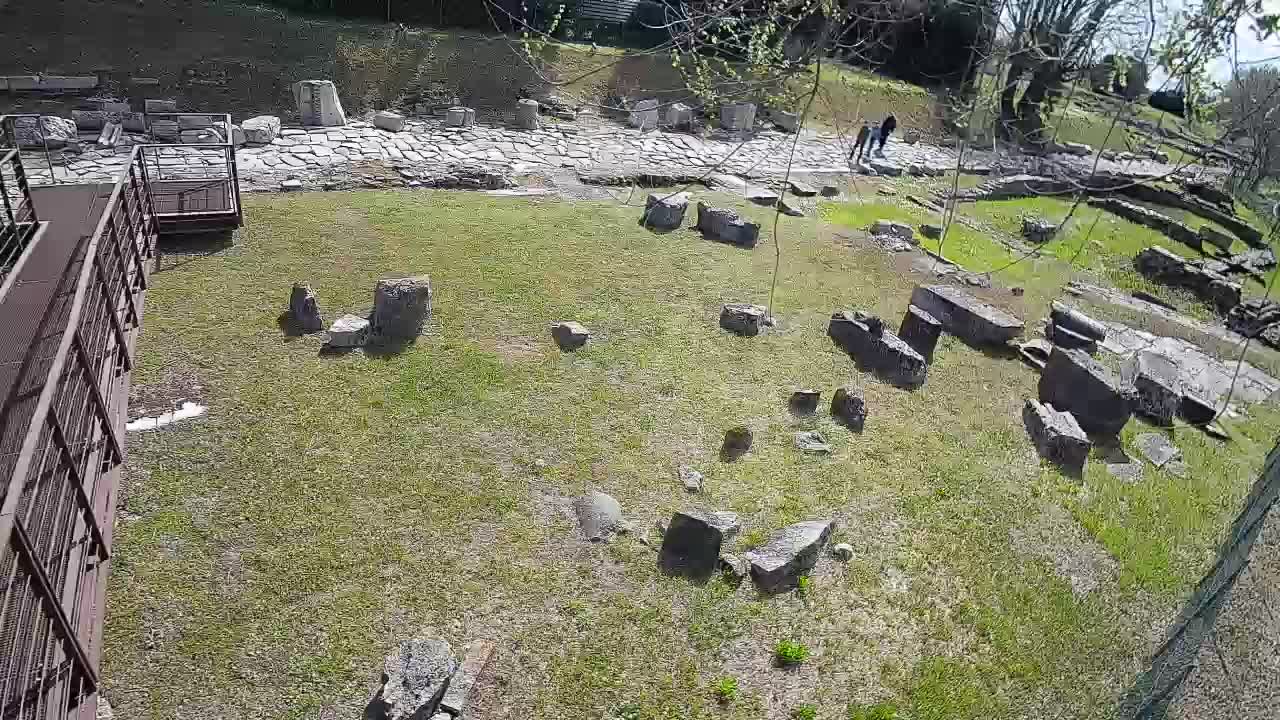 Aquileia – Decumano di Aratria Galla