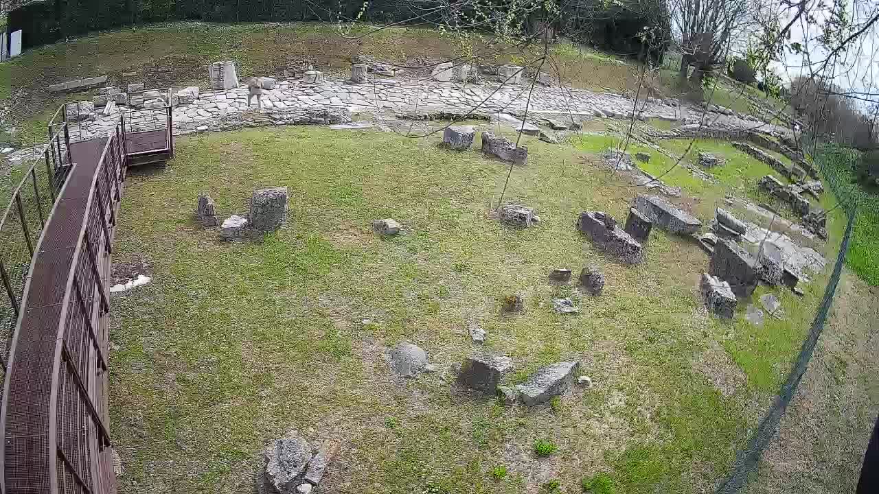 Akvileja – Decumano di Aratria Galla