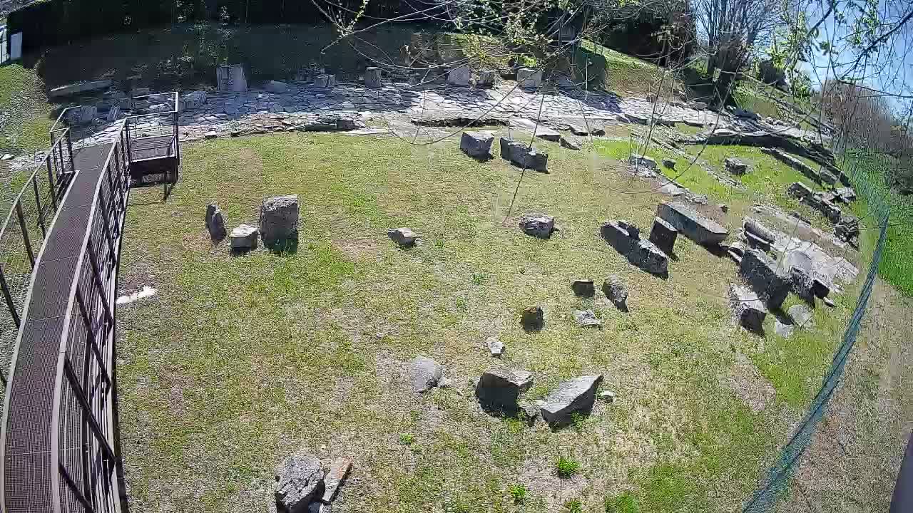 Aquileia – Decumano di Aratria Galla