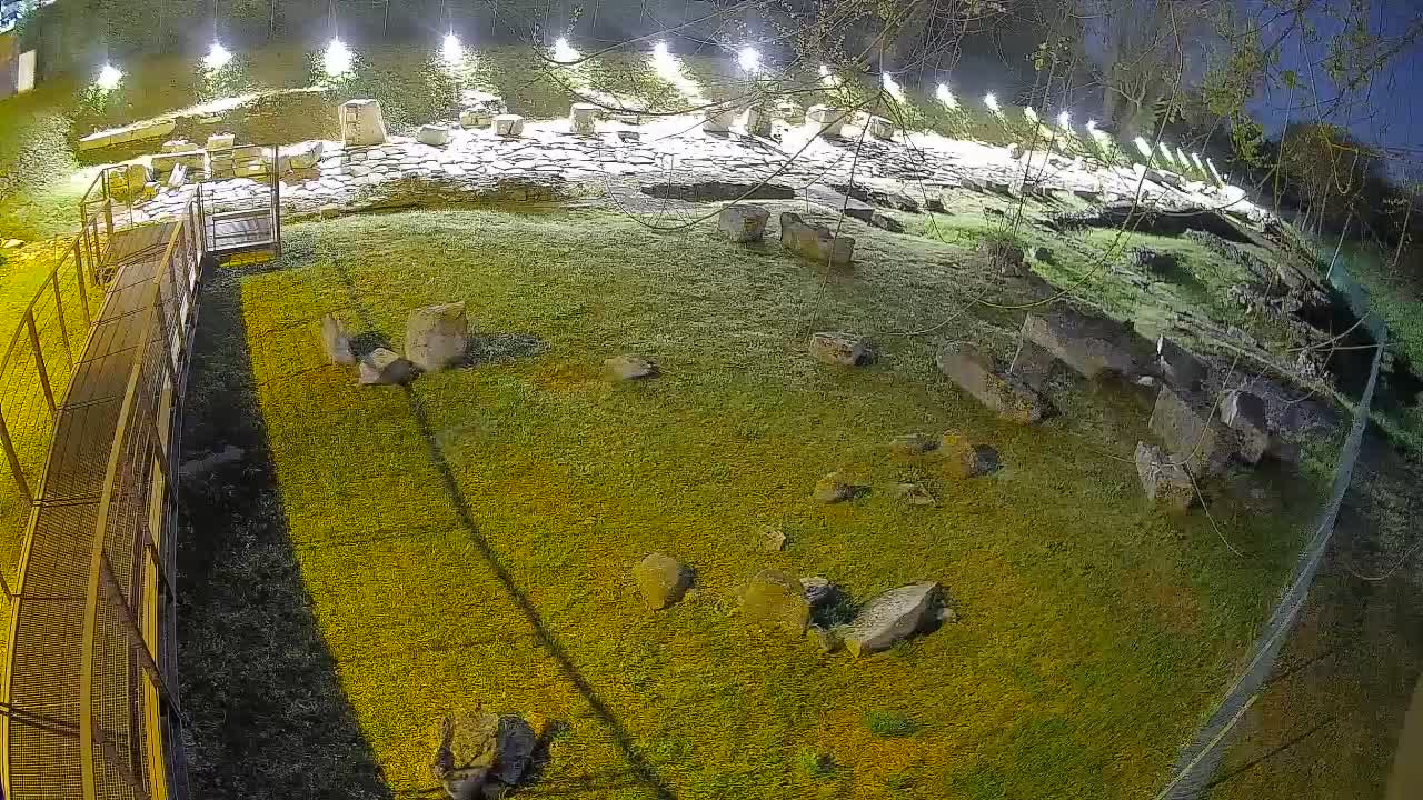 Aquileia – Decumano di Aratria Galla