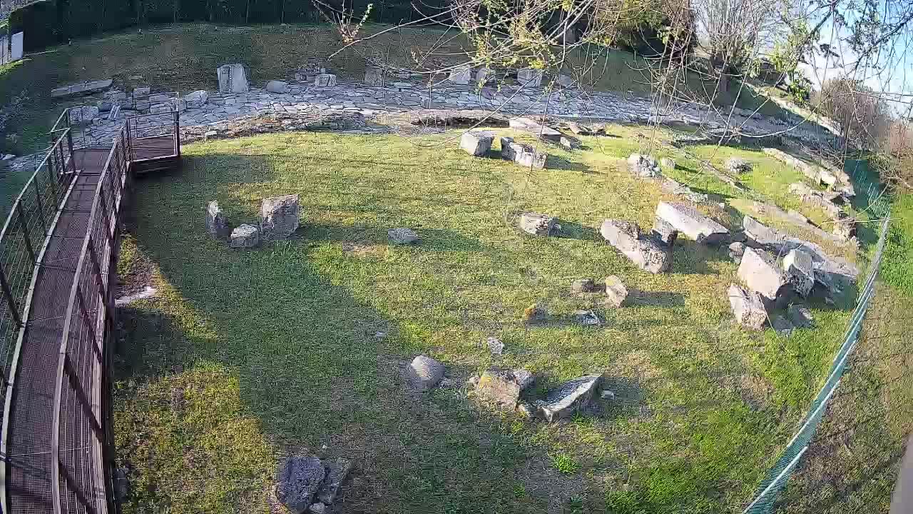 Aquileia – Decumano di Aratria Galla