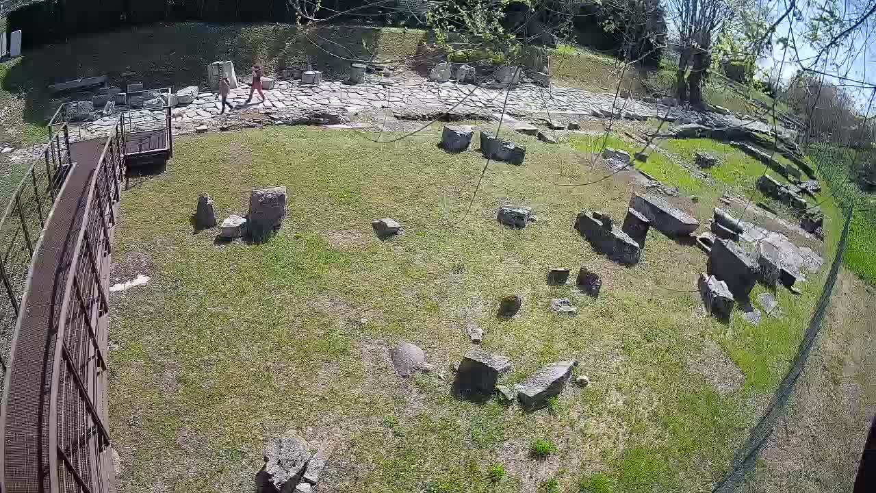 Aquileia – Decumano di Aratria Galla