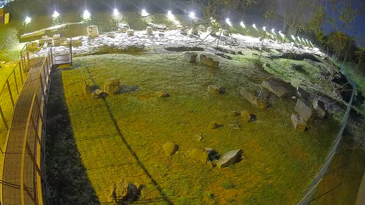 Aquileia – Decumano di Aratria Galla