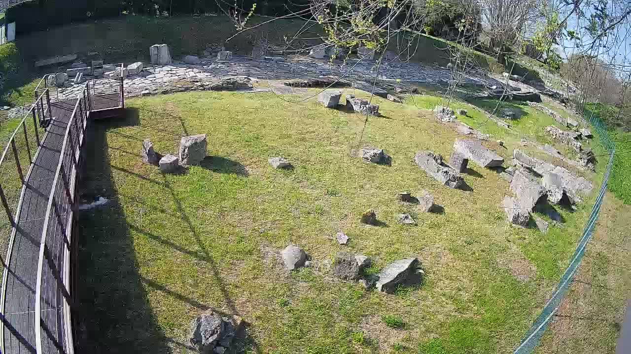 Aquileia – Decumano di Aratria Galla