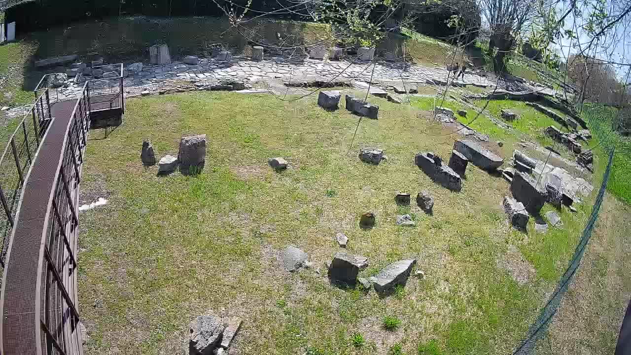 Aquileia – Decumano di Aratria Galla