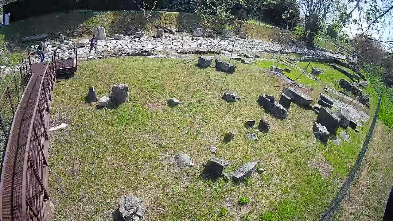 Aquileia – Decumano di Aratria Galla