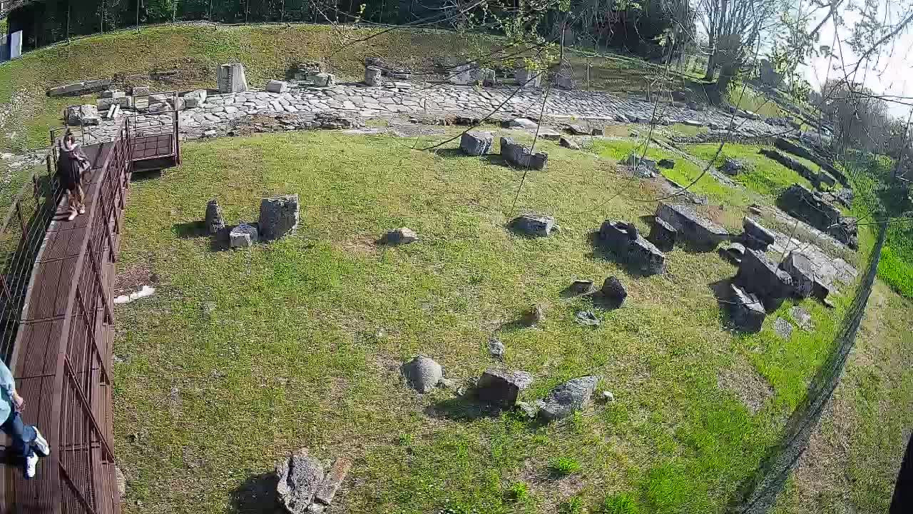 Aquileia – Decumano di Aratria Galla