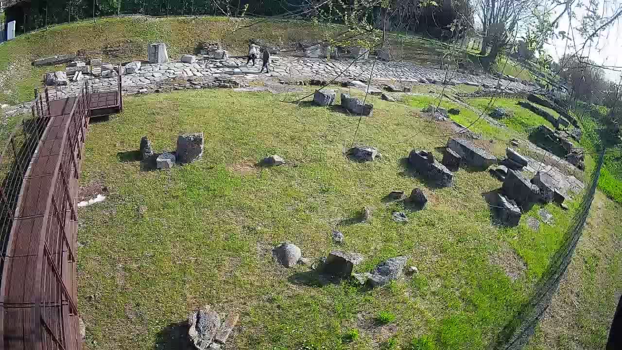 Aquileia – Decumano di Aratria Galla