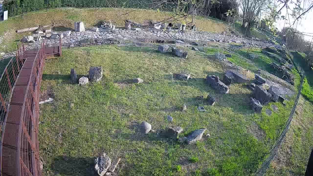 Aquileia – Decumano di Aratria Galla