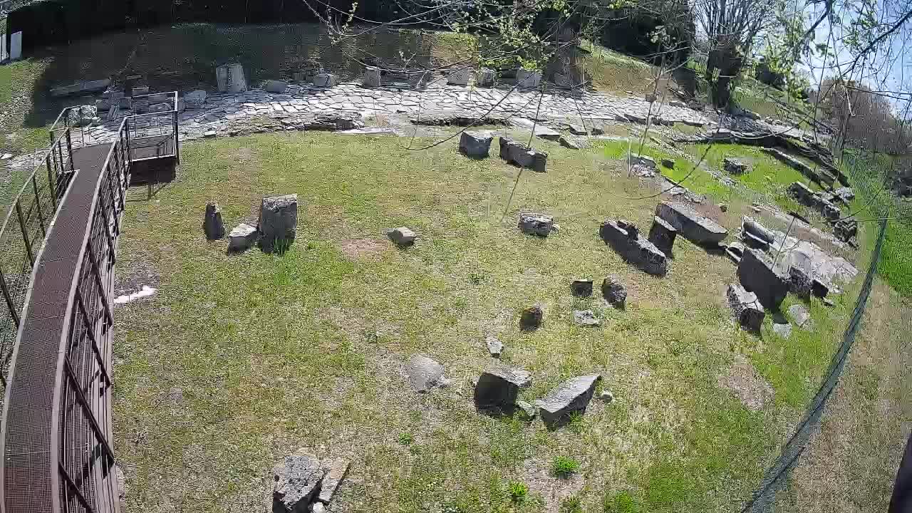 Akvileja – Decumano di Aratria Galla