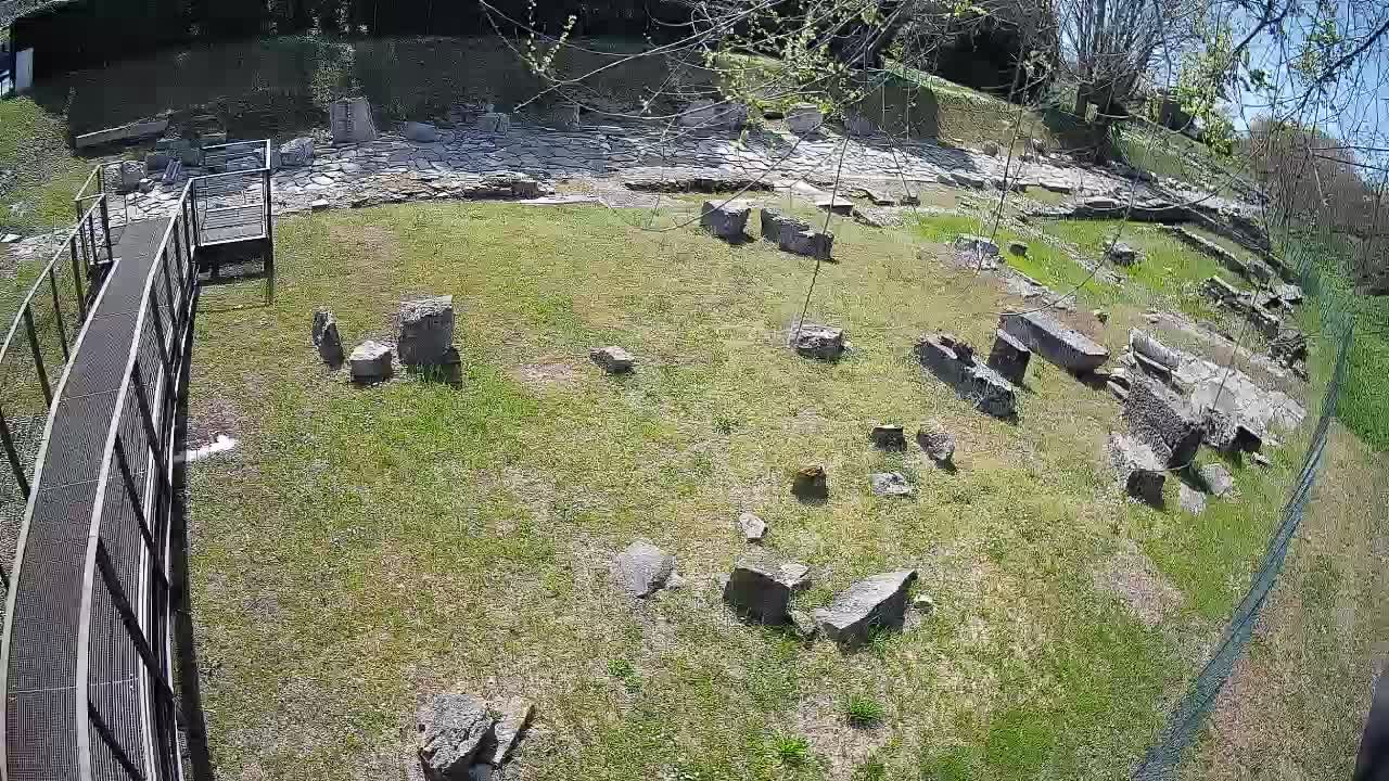 Aquileia – Decumano di Aratria Galla