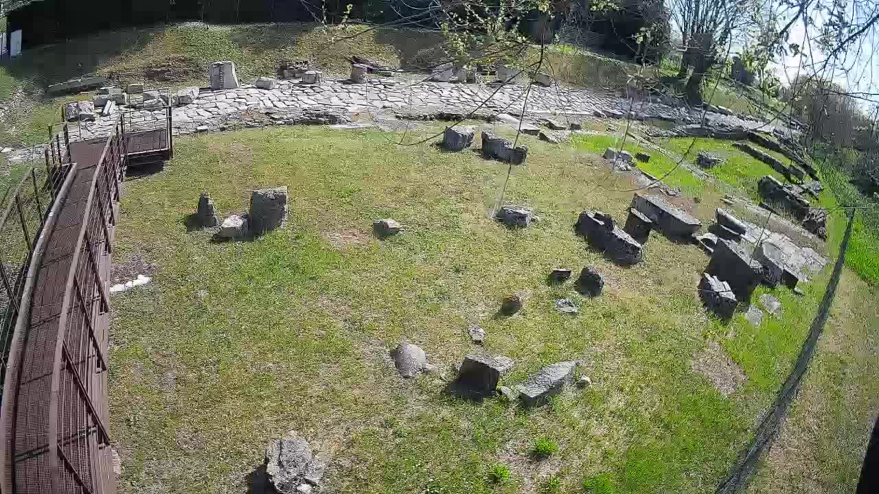 Akvileja – Decumano di Aratria Galla