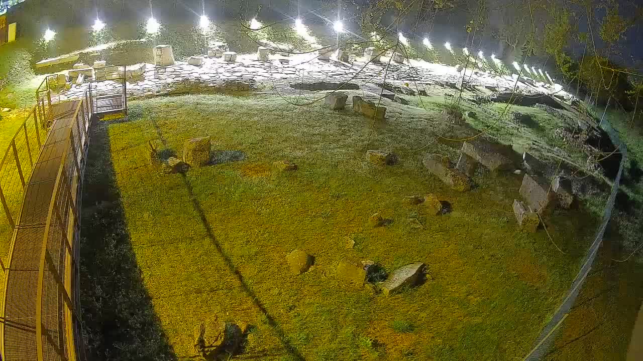 Aquileia – Decumano di Aratria Galla