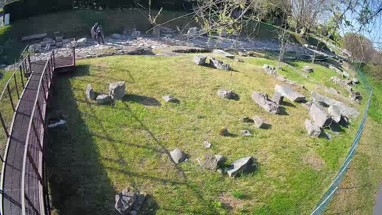 Aquileia – Decumano di Aratria Galla