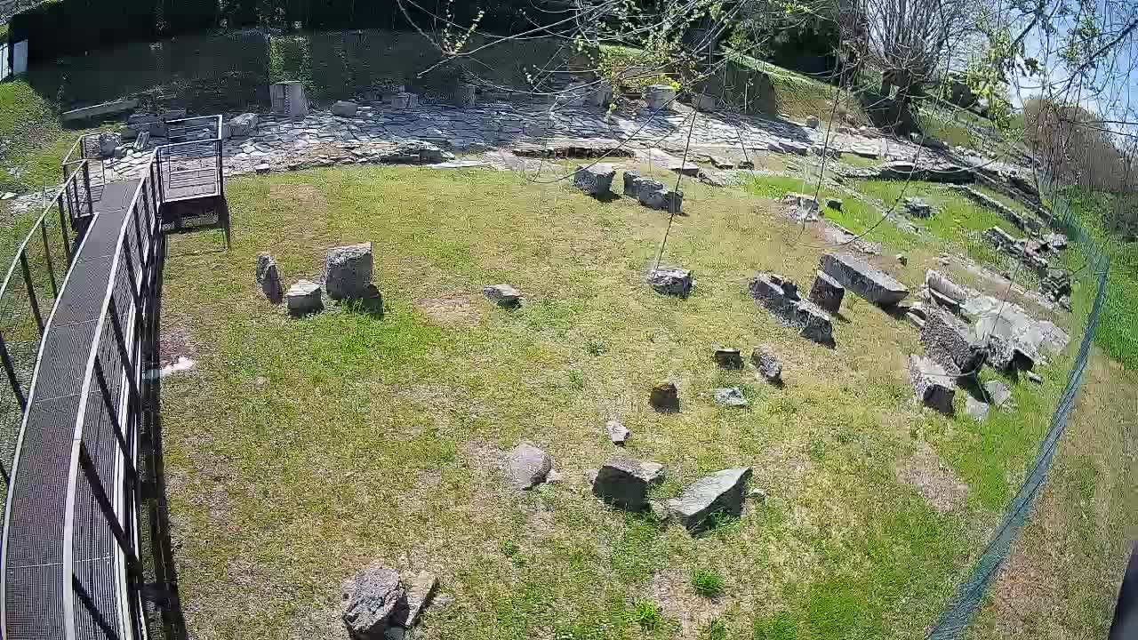 Aquileia – Decumano di Aratria Galla