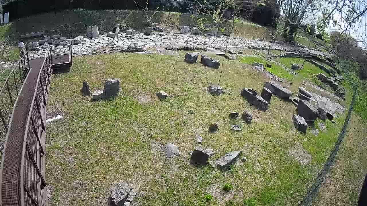 Aquileia – Decumano di Aratria Galla