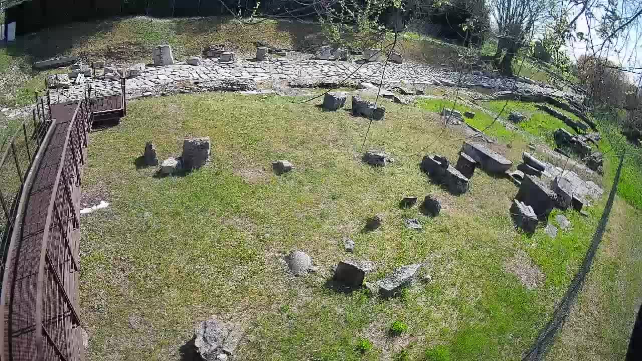 Akvileja – Decumano di Aratria Galla