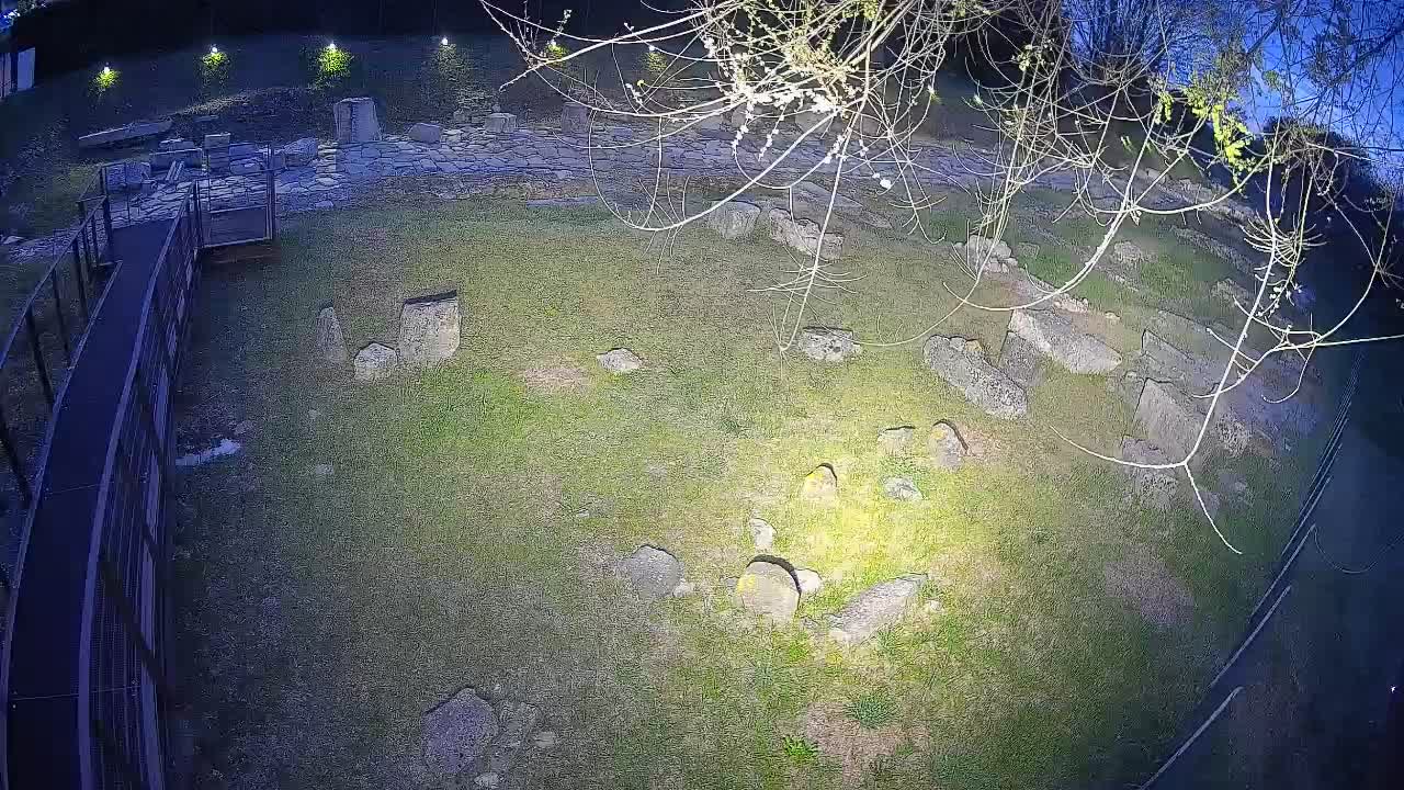 Aquileia – Decumano di Aratria Galla