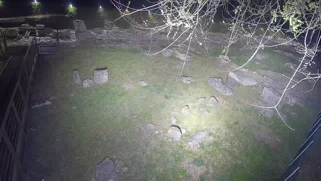 Akvileja – Decumano di Aratria Galla