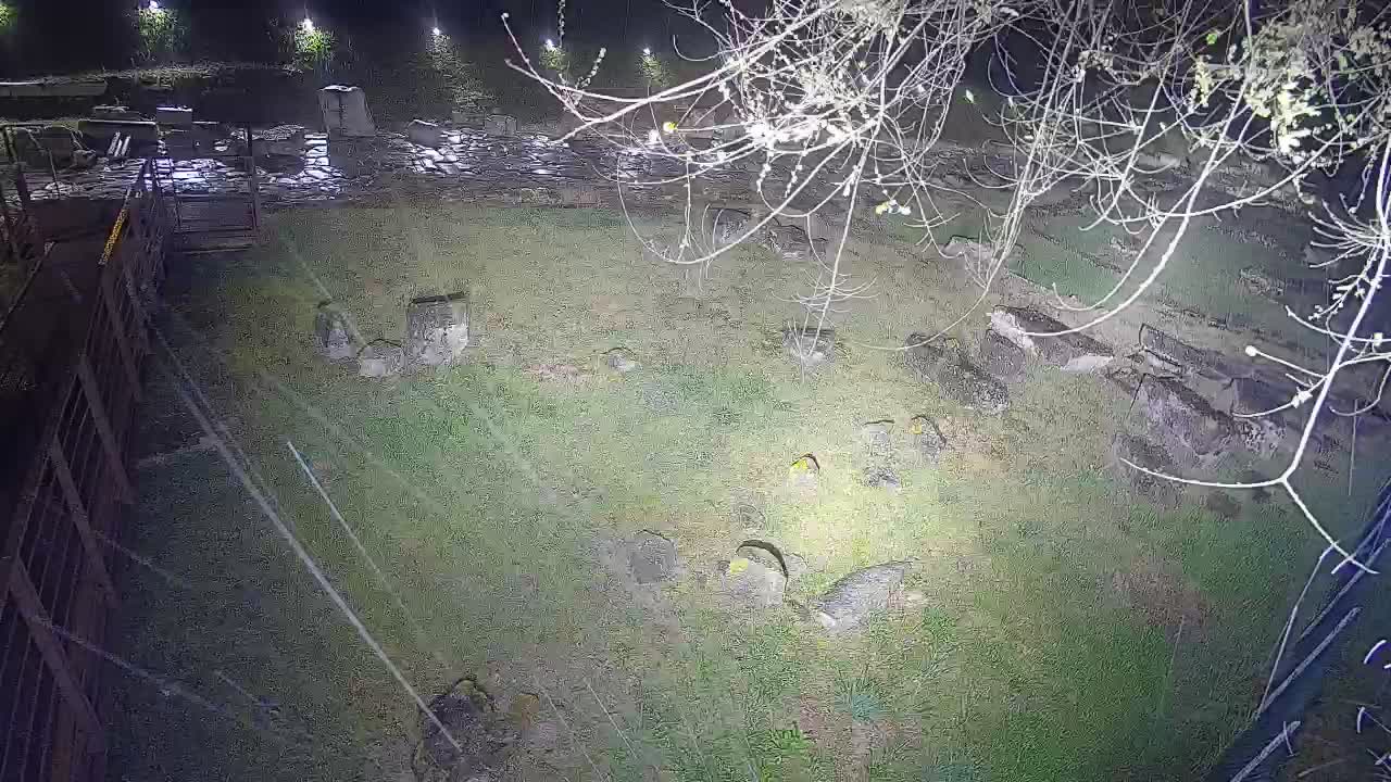 Aquileia – Decumano di Aratria Galla