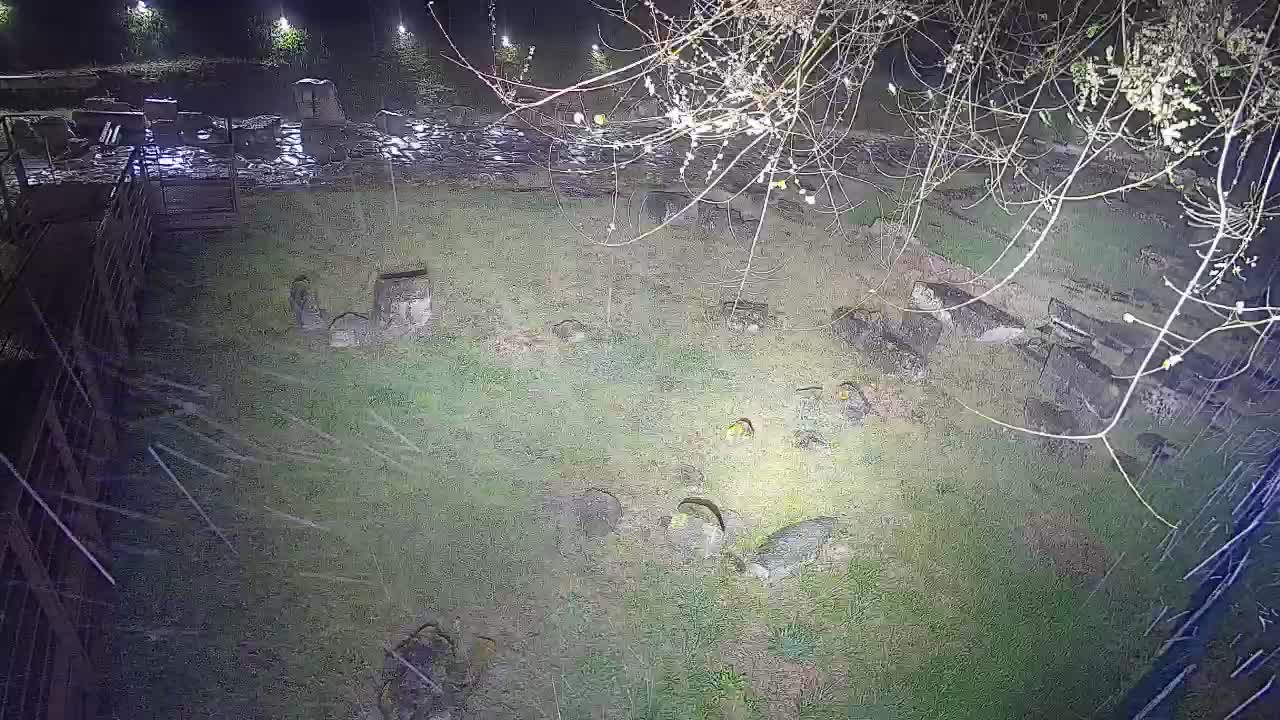 Aquileia – Decumano di Aratria Galla