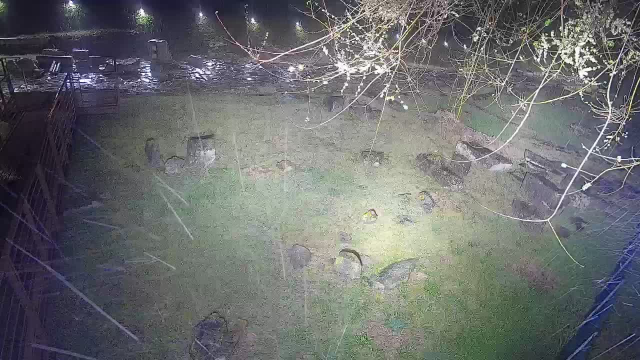 Aquileia – Decumano di Aratria Galla