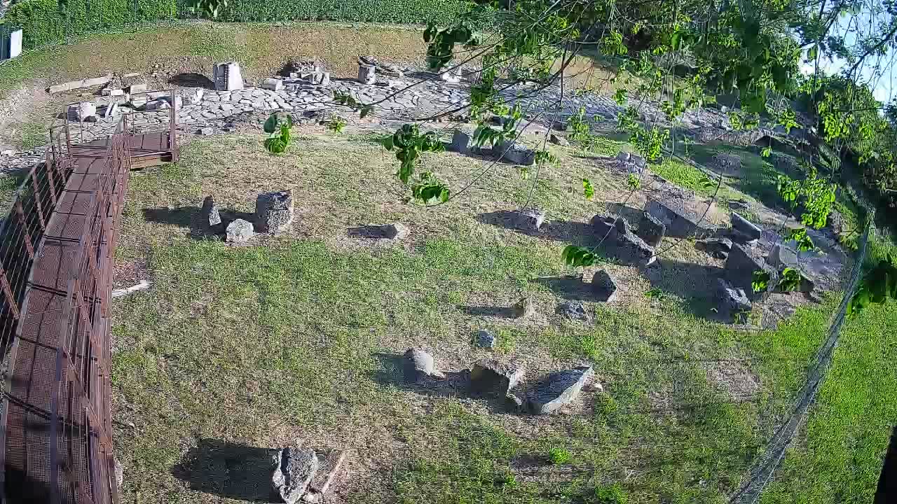 Akvileja – Decumano di Aratria Galla