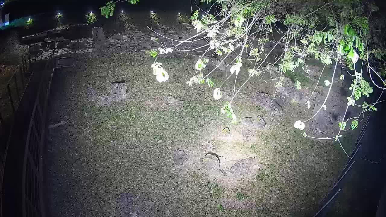 Aquileia – Decumano di Aratria Galla