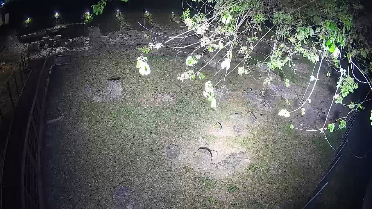 Aquileia – Decumano di Aratria Galla