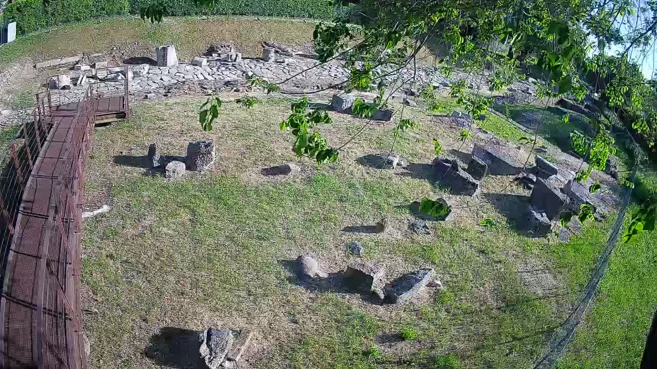 Aquileia – Decumano di Aratria Galla