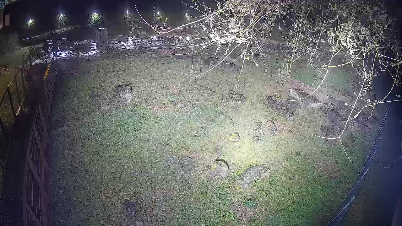 Aquileia – Decumano di Aratria Galla