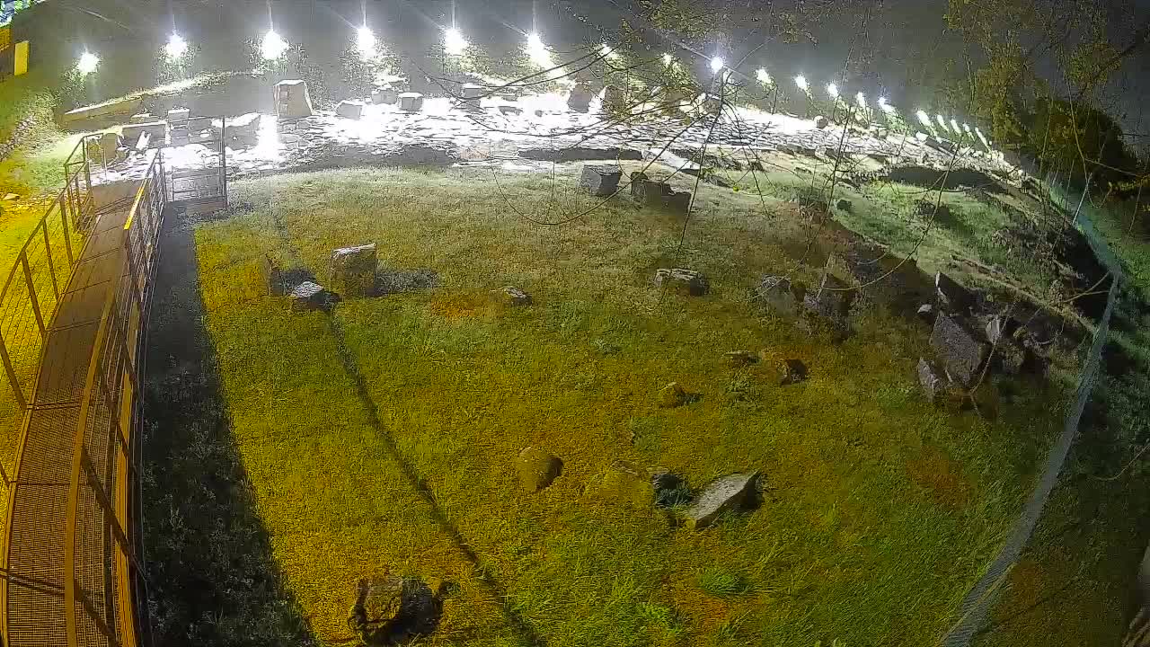 Aquileia – Decumano di Aratria Galla